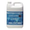 Ramuc Clean & Prep Solution, 1 Gallon | 9306000001