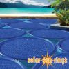 Solar Sun Ring Cover Palm Tree Design | SSRA-100
