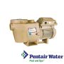 Pentair WhisperFlo VST Variable Speed Pump | 011533