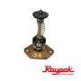 Raypak Internal Automatic Bypass Valve | 017958F