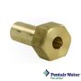 Pentair FNS Plus / Quad DE Pool Filter Machine Nut | 194997