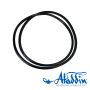 Pentair Pac-Fab FNS Polymeric Filter O-ring 195008 |  O-420