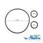 JANDY VALVE O-RING KIT 65779 | O-515KIT