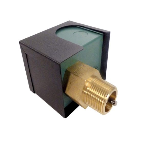 Raypak Replacement Flow Switch, 007142F