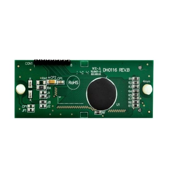 Raypak LCD Display Pool Stat-Kit | 013640F