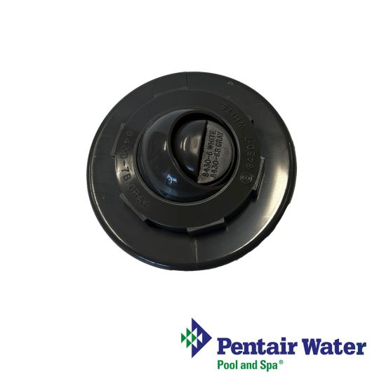 Pentair SwimQuip  Eyeball Insider Inlet Fitting  Gray |  08434-0100