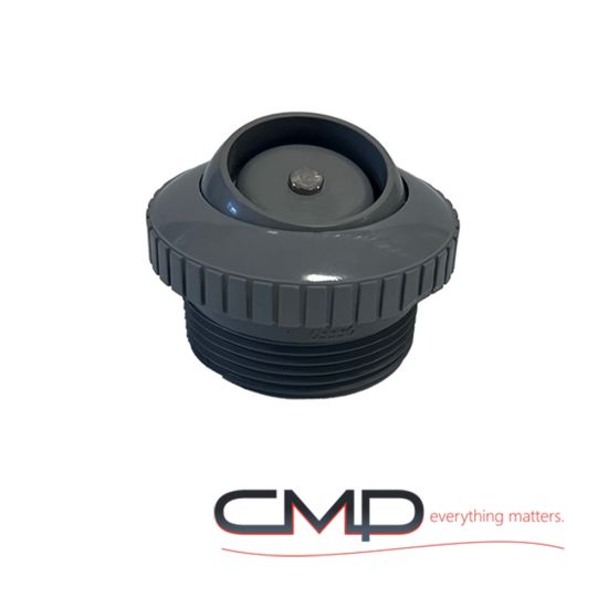 CMP Spa Return  Check Valve  Gray | 25552-501-000