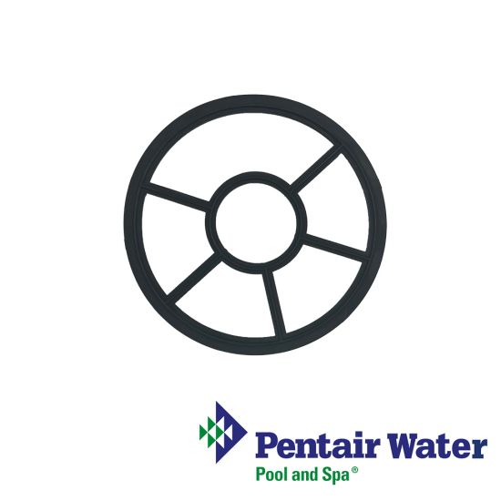 Pentair  HiFlow 2"  Diverter Seal | G-400 | 272409