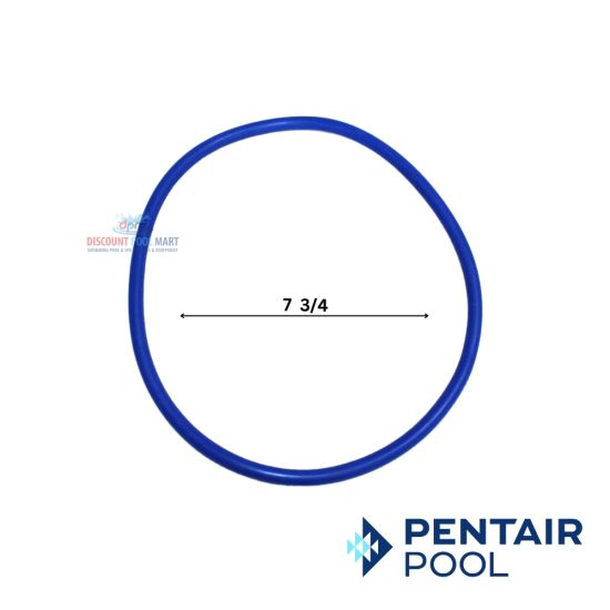 Pentair O-Ring Strainer Lid |  356189Z