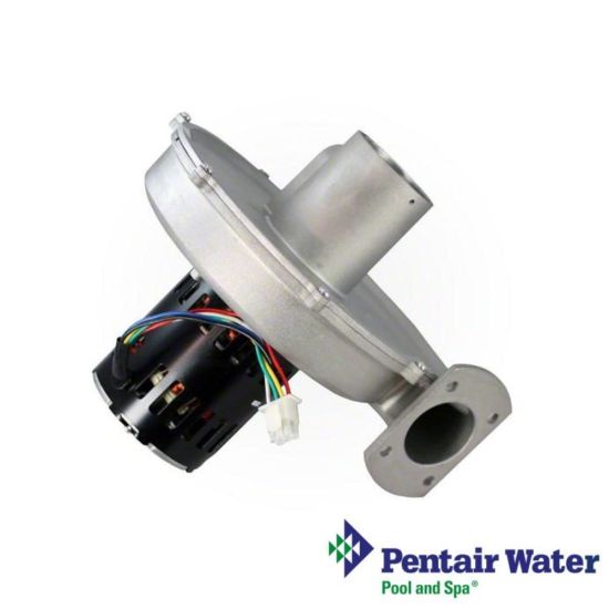 Pentair Mastertemp Natural Gas Heater Air Combustion Blower for 400K BTU | 77707-0253