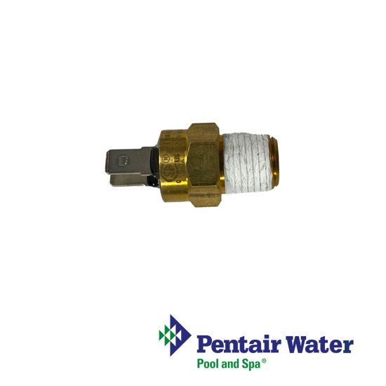 Pentair ETI 400 Gas Heater Automatic Gas Shut-Off Switch| 475985 