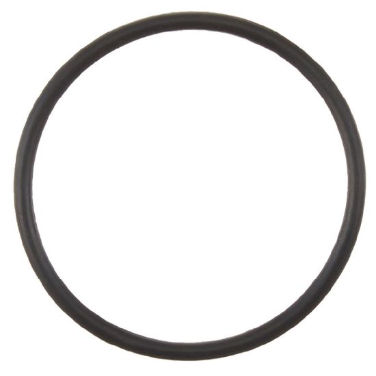 Polaris, 380 Cleaner, O-ring, Feed Pipe Assembly, 9-100-5132