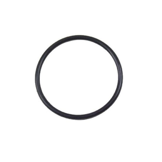 Aladdin, Replacement Union O-Ring, Jandy Stealth Pump | O-652 | R0446400