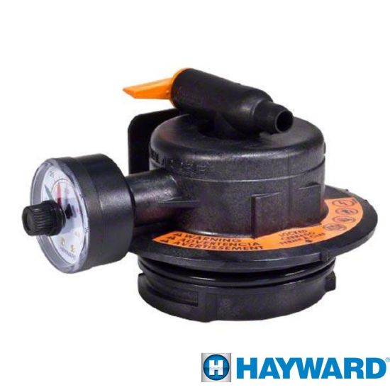 Hayward ProGrid DE Pool Filter Manual Air Relief Assembly | DEX2420MAR2