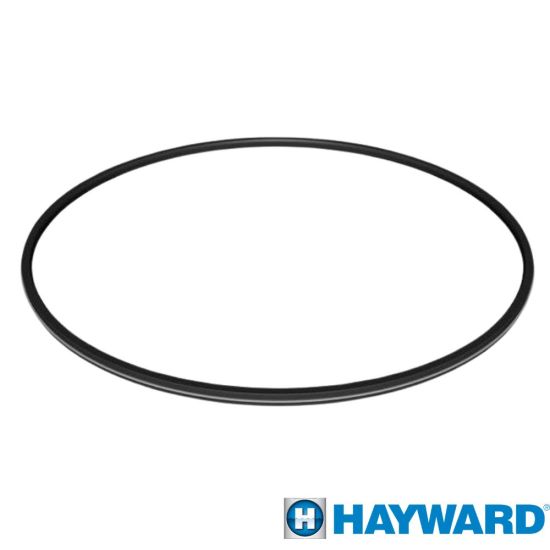 Hayward ProGrid/SwimClear Pool Filter Metal Reinforced Filter O-Ring Seal | DEX2422Z2