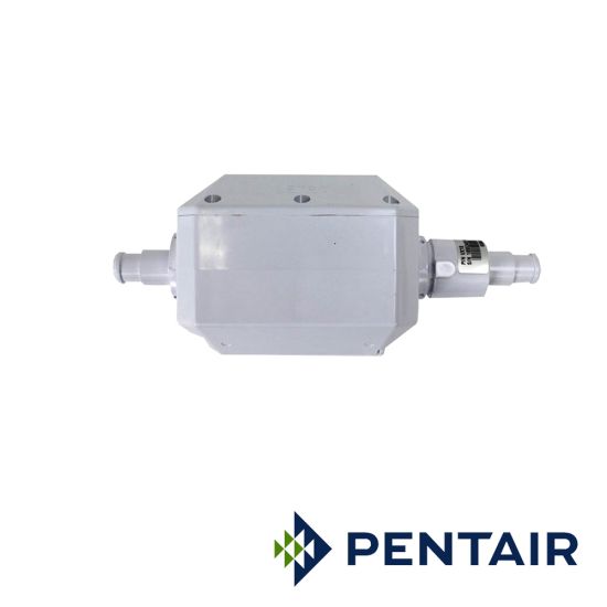 Pentair White Back-Up Valve Replacement | E10