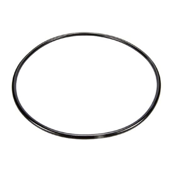 Pentair, Clean and Clear FIlters, Body O-Ring, 87300400, or O-343
