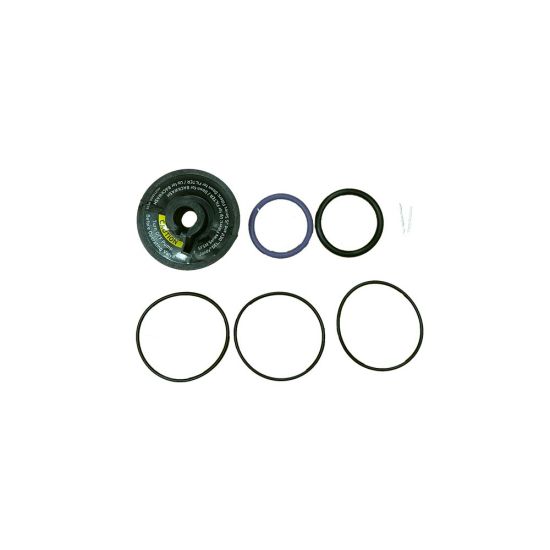 Jandy | R0442100 | Rebuild Kit for Backwash Valve