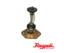 Raypak Internal Automatic Bypass Valve | 017958F