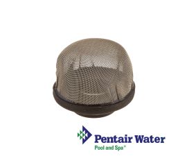 Pentair FNS DE and Nautilus Plus DE Filter Manifold Air Vent | 172855