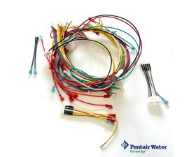 Pentair MasterTemp Max-E-Therm  Wire Harness - 120/240V | 461107