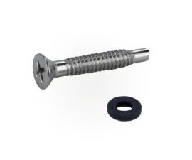Pentair Pilot Screw with Washer | 619355