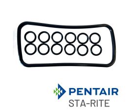 Pentair Sta-Rite Heater Manifold O-Ring  Kit | 77707-0120