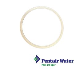 Pentair AquaLumin  Silicone Lens Seal  | 78880200