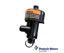 Pentair FNS Plus Filter Air Relief Valve Replacement | 98209803