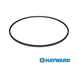 Hayward ProGrid/SwimClear Pool Filter Metal Reinforced Filter O-Ring Seal | DEX2422Z2