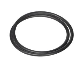 Hayward, Seal Plate O-Ring, NorthStar Pump |  SPX4000T | O-239