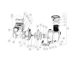 IntelliFlo Variable Speed 3HP Pump | 011028