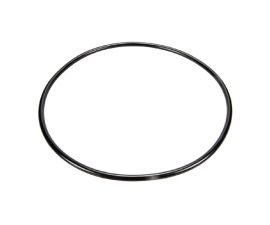 Pentair, Clean and Clear FIlters, Body O-Ring, 87300400, or O-343