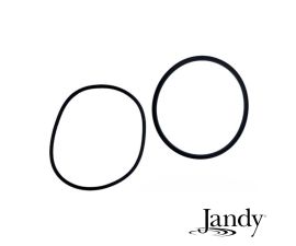Jandy SHPF and SHPM Pump Lid Seal and O-Ring Replacement Kit  | R0446200