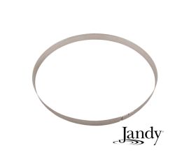 Jandy DEV/DEL & CV/CL Pool Filter Tank Retaining Ring | R0405200