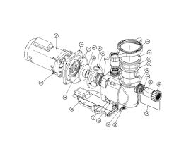 SuperFlo 1HP 230V Pump Parts | 340042