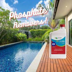 Mastering Pool Maintenance: The Magic of Phosphate Removers